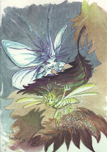 Luguy Elfemeride Amazonie BD