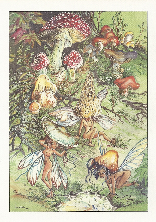 Luguy Elfemeride Amazonie BD