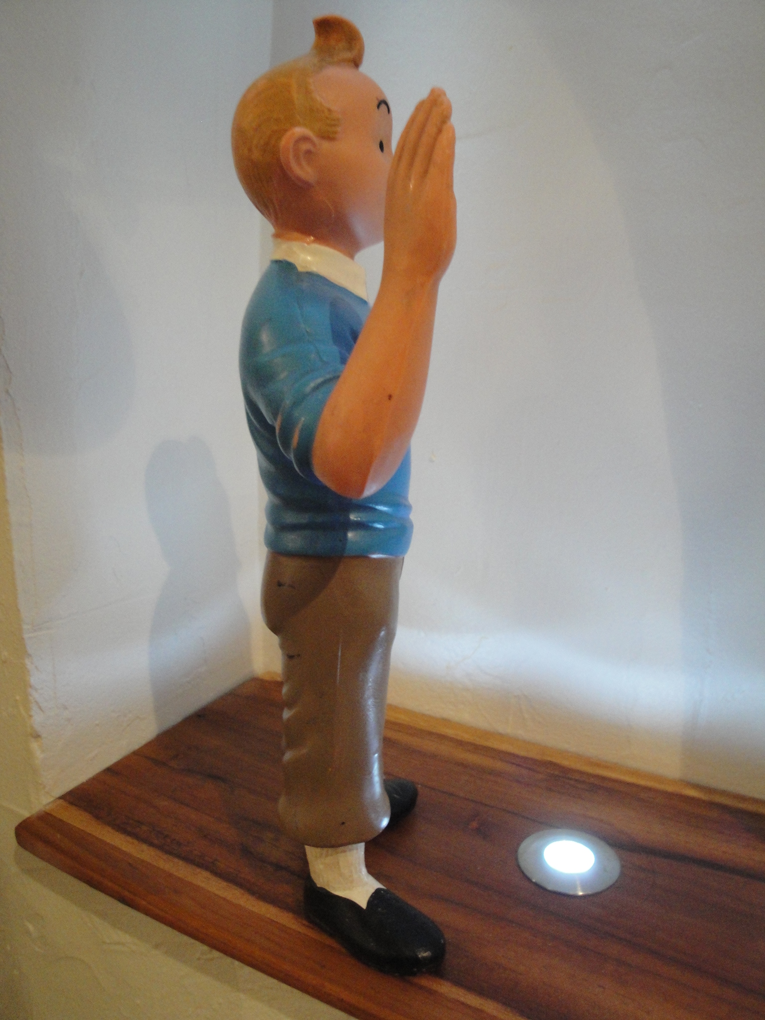 Hergé Tintin Amazonie BD