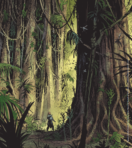 Vignaux, Mariolle & Dorison - Les mondes de Thorgal Kriss de Valnor La dague du temps – Tirage de tête - Amazonie BD