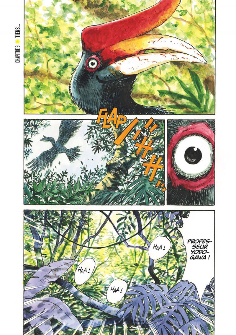 Naoki Urasawa - Asadora N° 2 - Amazonie BD