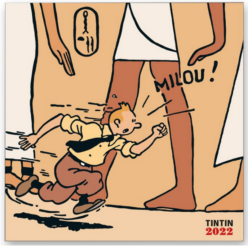 Vos BD préférées - Page 3 Herge%CC%81-Calendrier-Tintin-noir-et-blanc-en-couleurs-Papeterie-civile-Calendrier-2022-Amazonie-BD