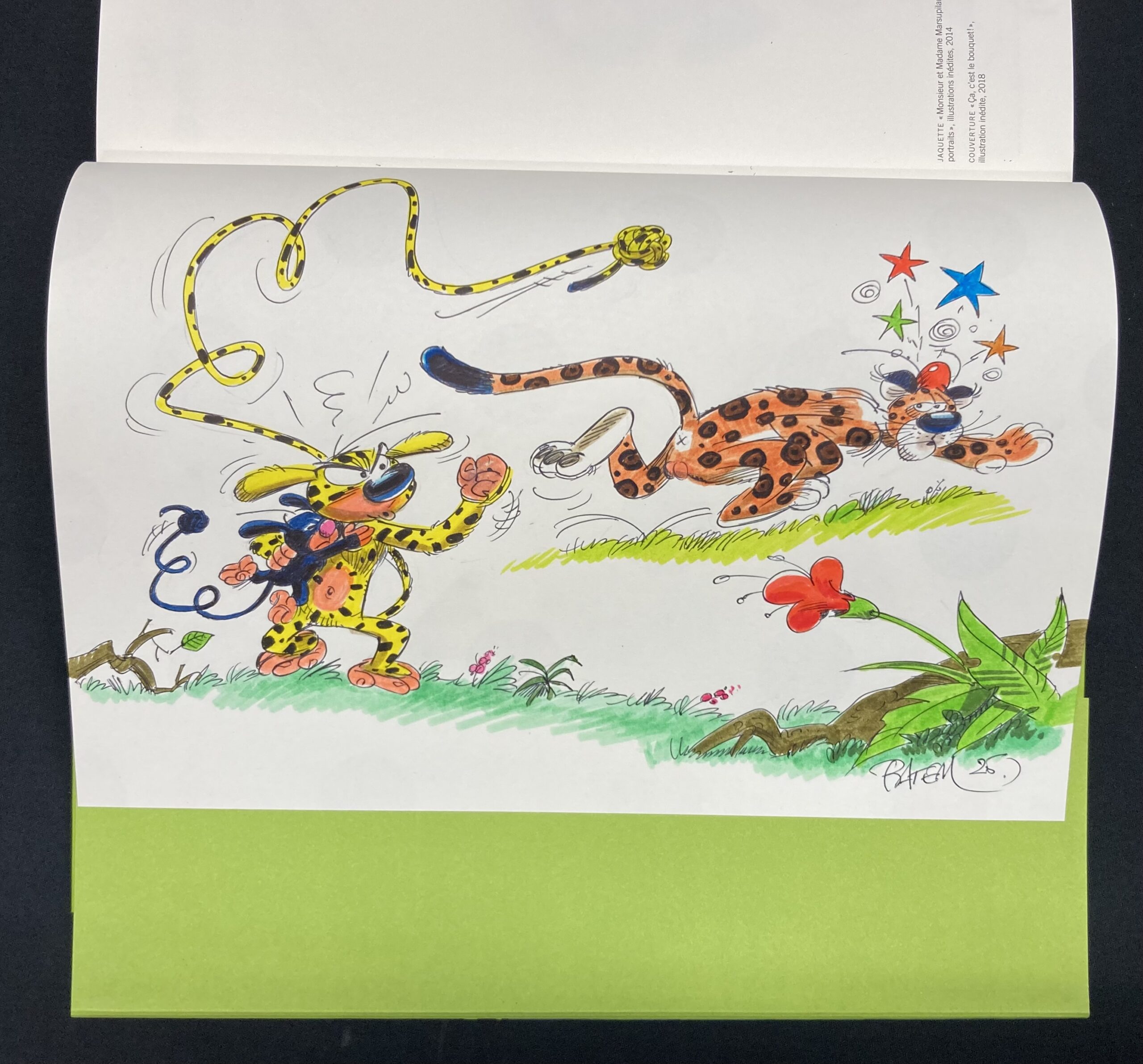 Batem – Dédicace : Le Marsupilami – Une vie en dessin - Amazonie BD