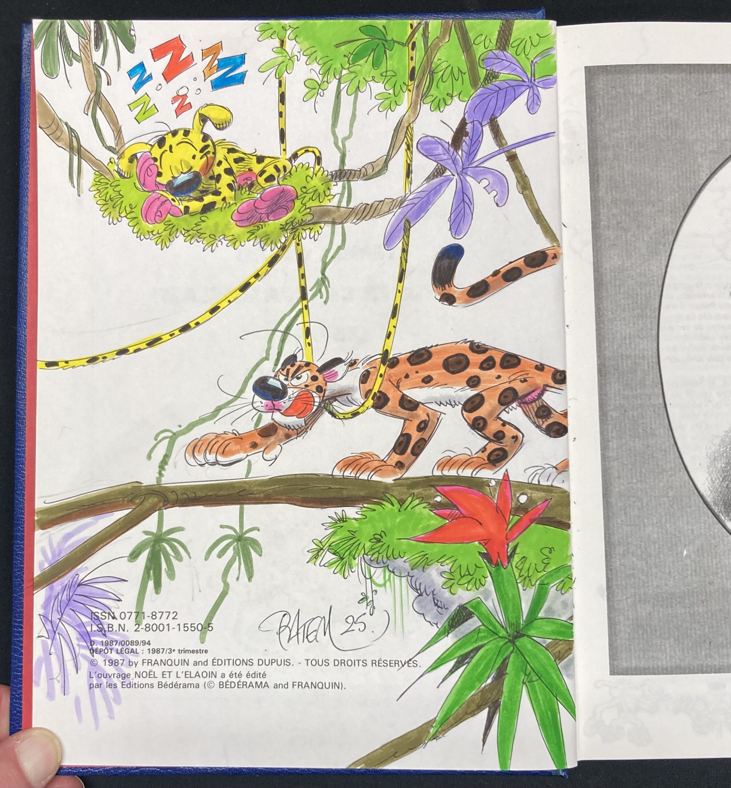 Franquin – Dédicace : Spirou Fantasio et le Marsupilami – intégrale Rombaldi N° 8 - Amazonie BD