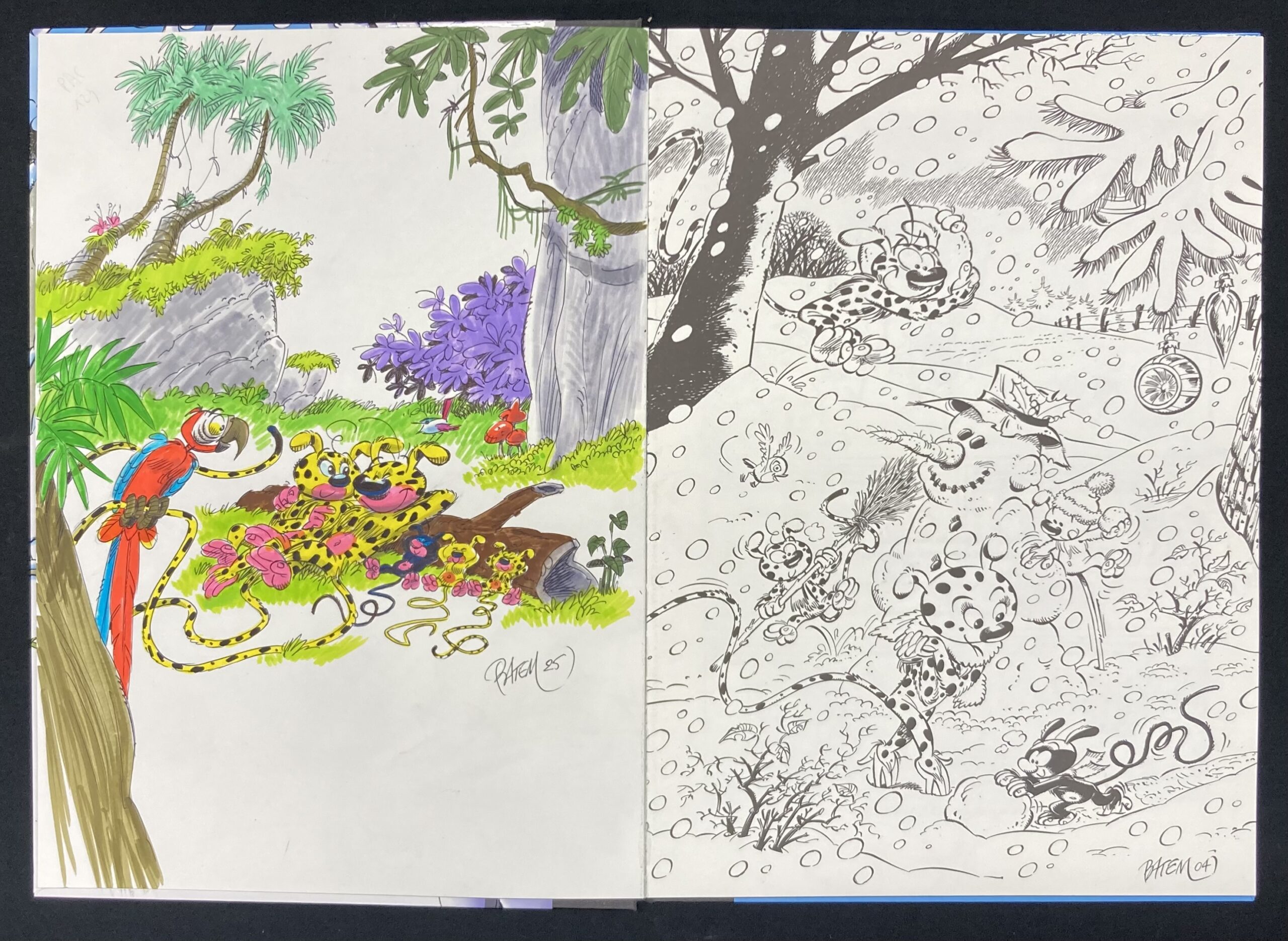 Batem & Colman – Dédicace : Le Marsupilami « Magie blanche » Tirage de tête - Amazonie BD