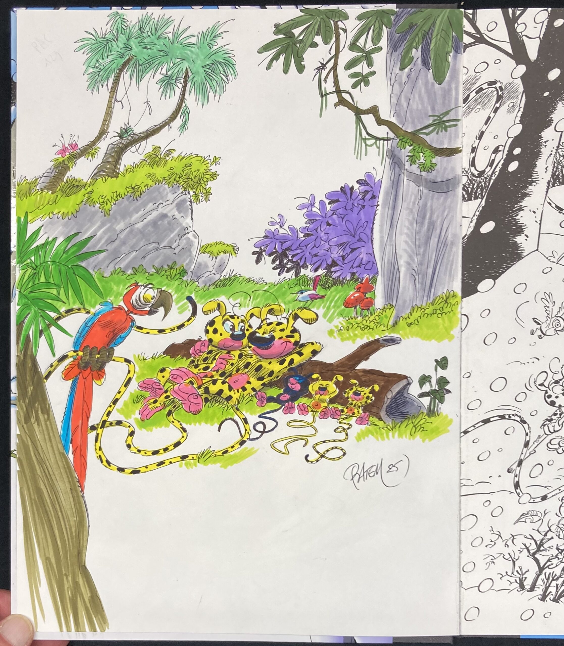 Batem & Colman – Dédicace : Le Marsupilami « Magie blanche » Tirage de tête - Amazonie BD