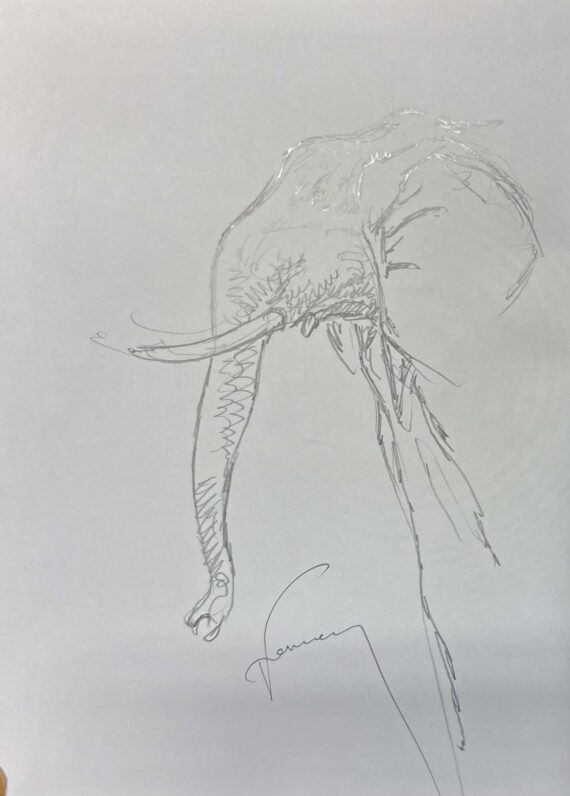 Hermann & Yves H - Dédicace / Retour au Congo - Tirage de tête (2013)