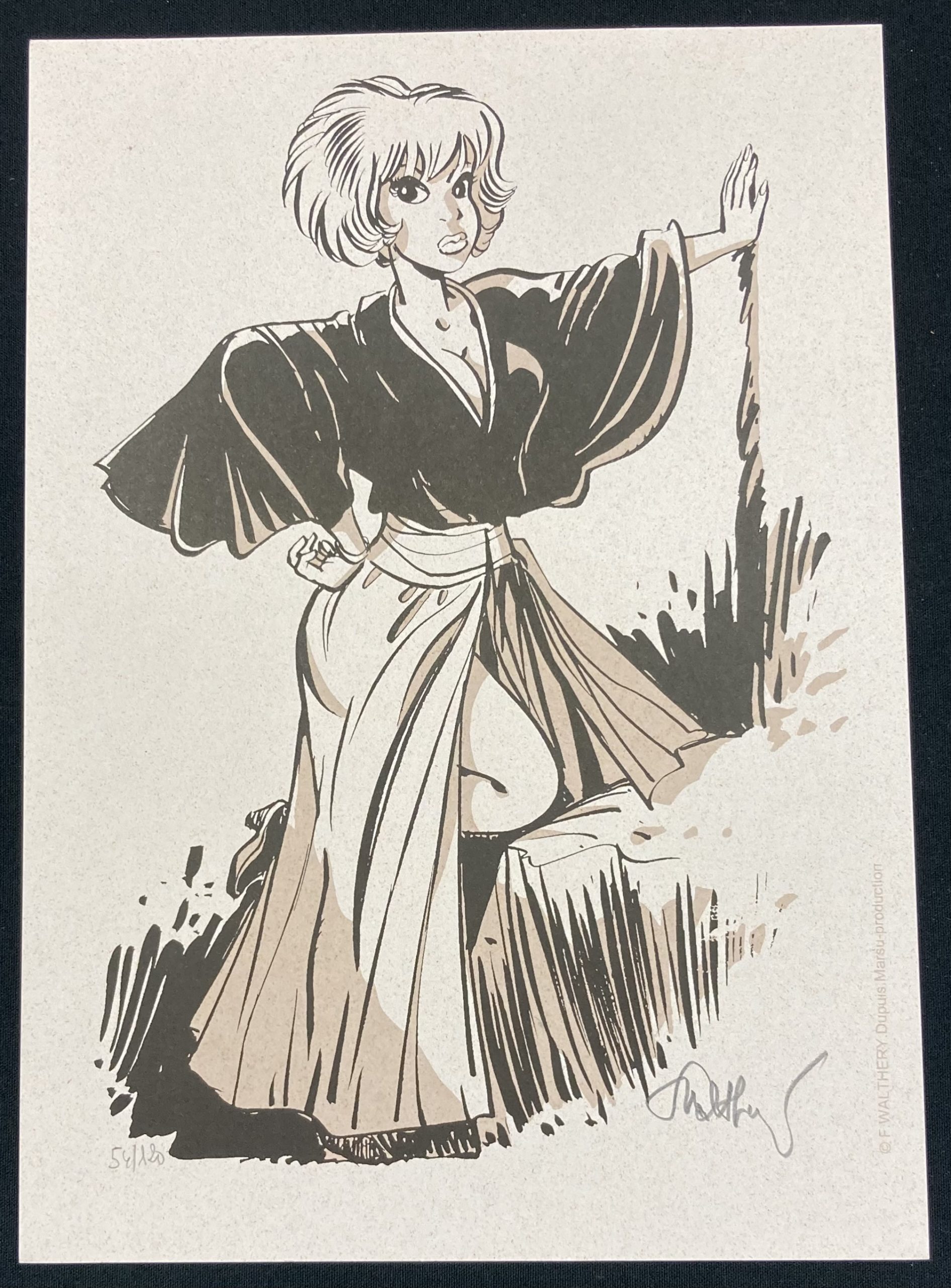 Walthéry - Natacha en geisha ex libris - Amazonie BD