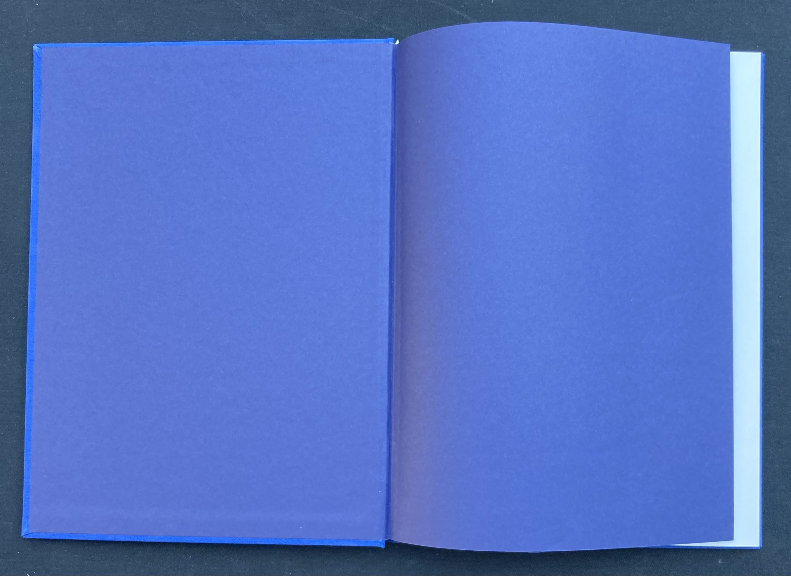 Franquin - Gaston N° 19 - Tirage de tête - Amazonie BD