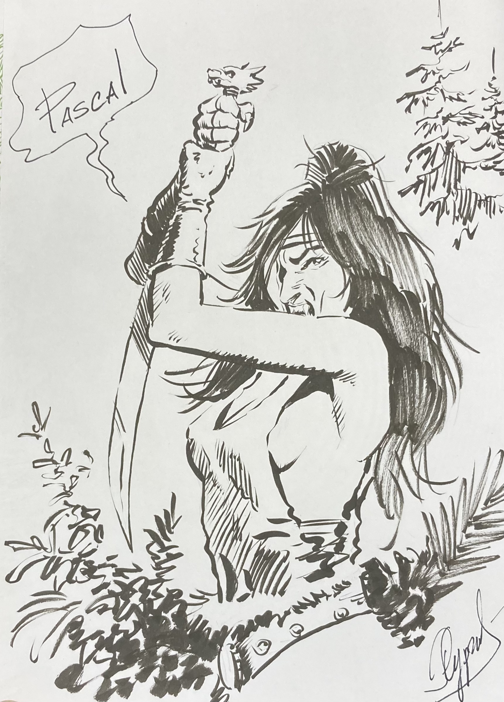 Surzhenko - Thorgal - Louve N° 2 Crow - Amazonie BD