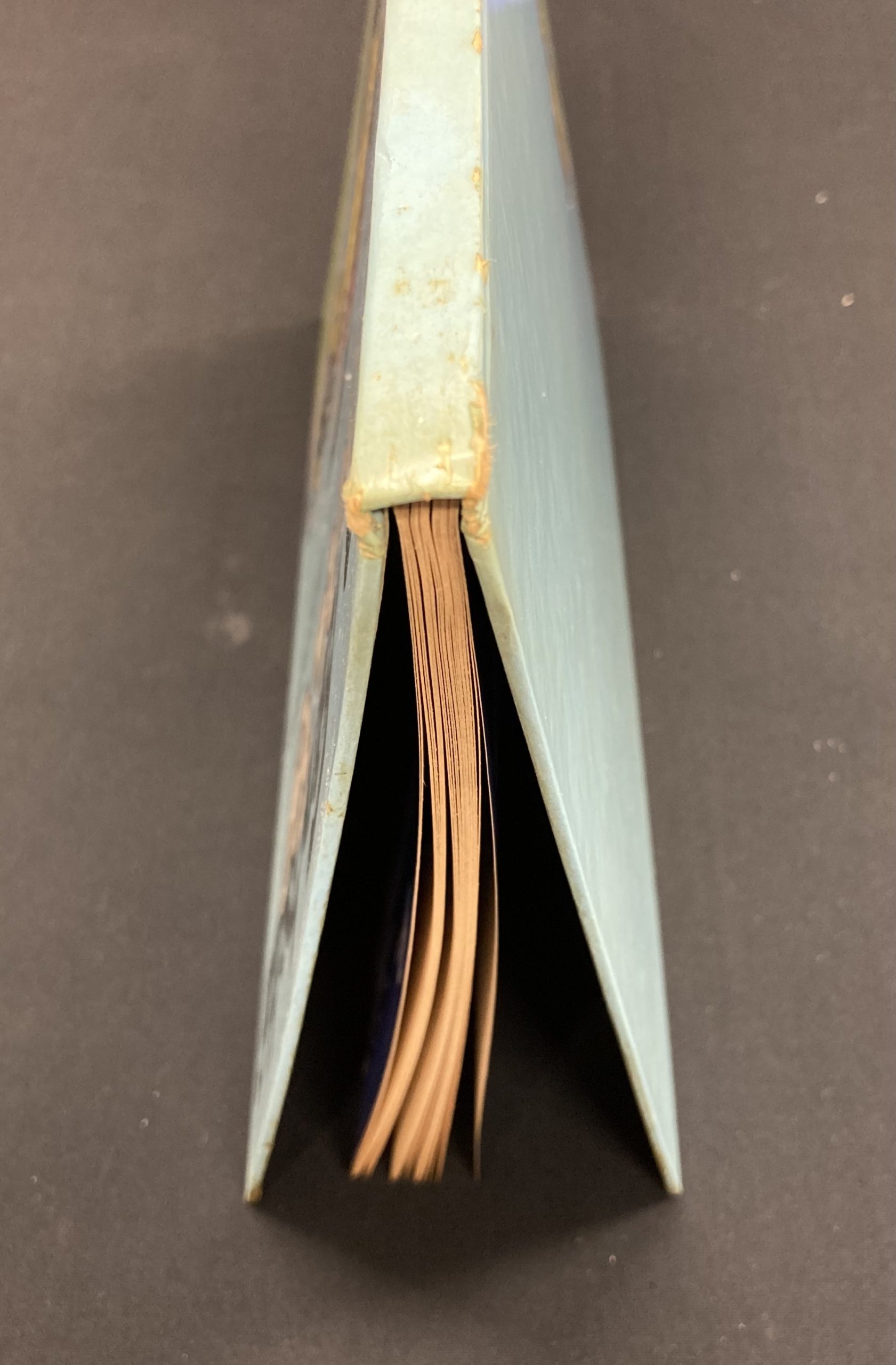 Franquin – La fantastica Fiat 509 di Gaston Lagaffe – Publicité - Amazonie BD