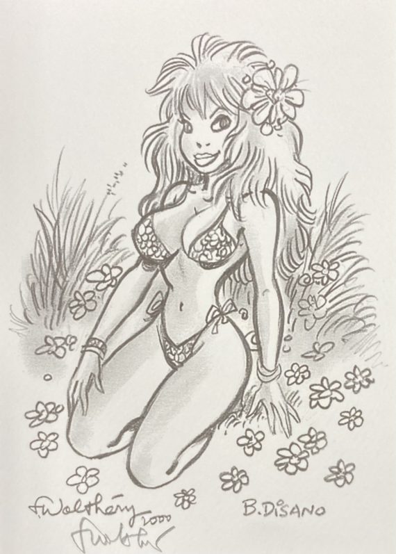 Walthéry & Di Sano - Natacha ex libris