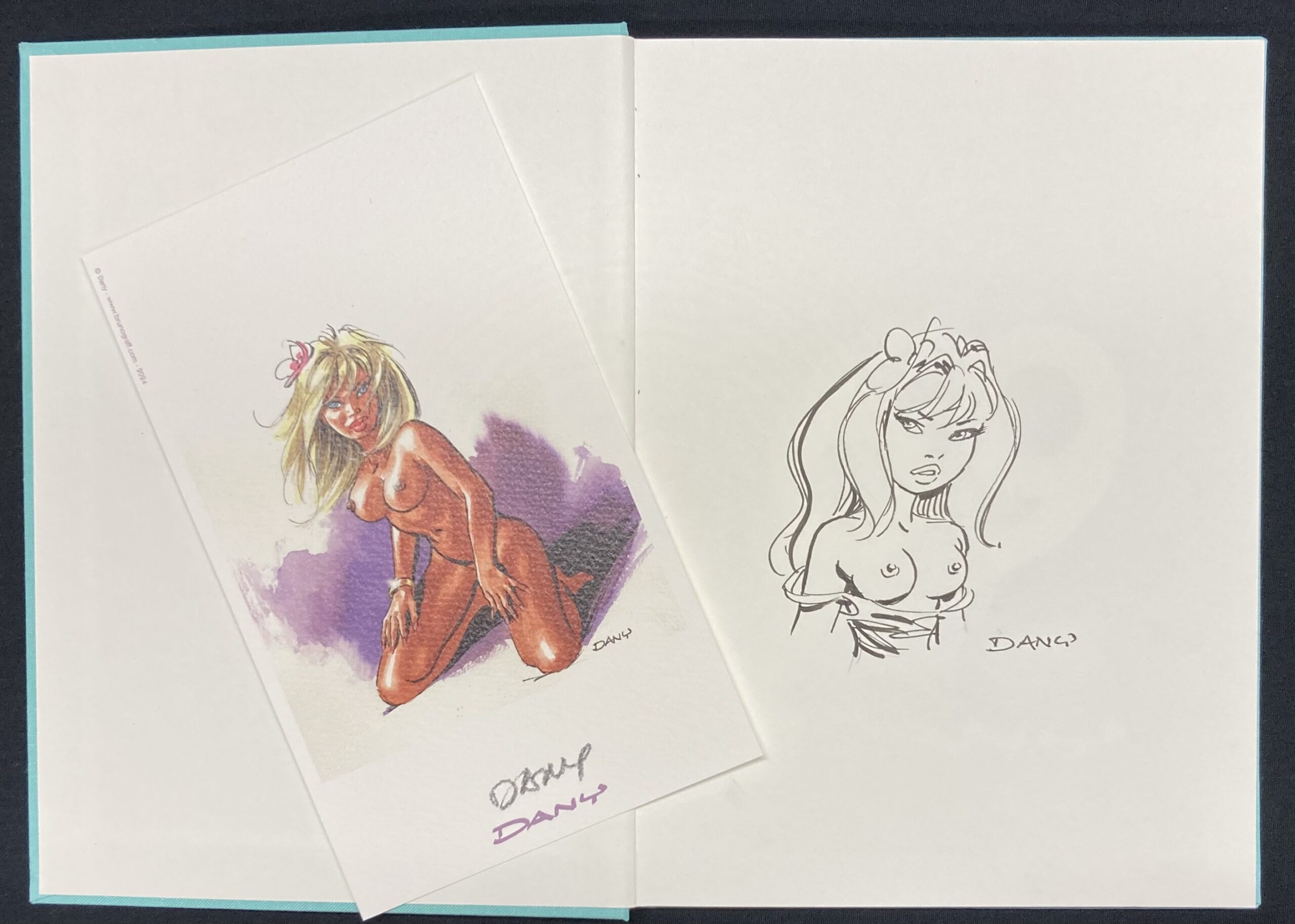 Dany – Dédicace : Artbook “69” - Amazonie BD