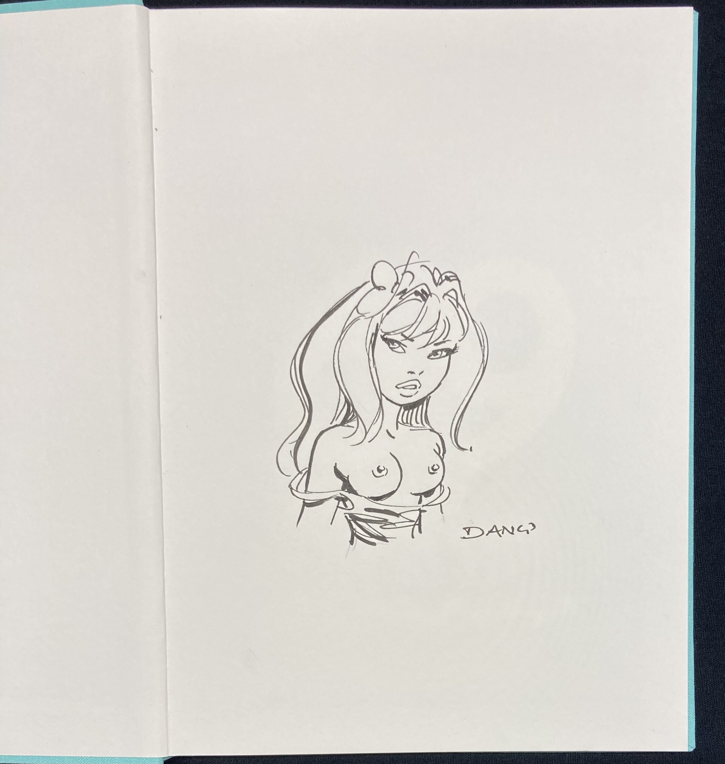 Dany – Dédicace : Artbook “69” - Amazonie BD