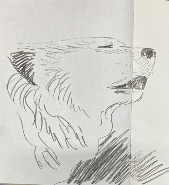 Servais - Dédicace / Lova 2 (1993)