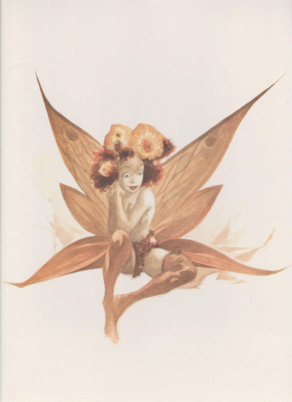 Alberto Varanda - Portfolio Les elfes (2007)