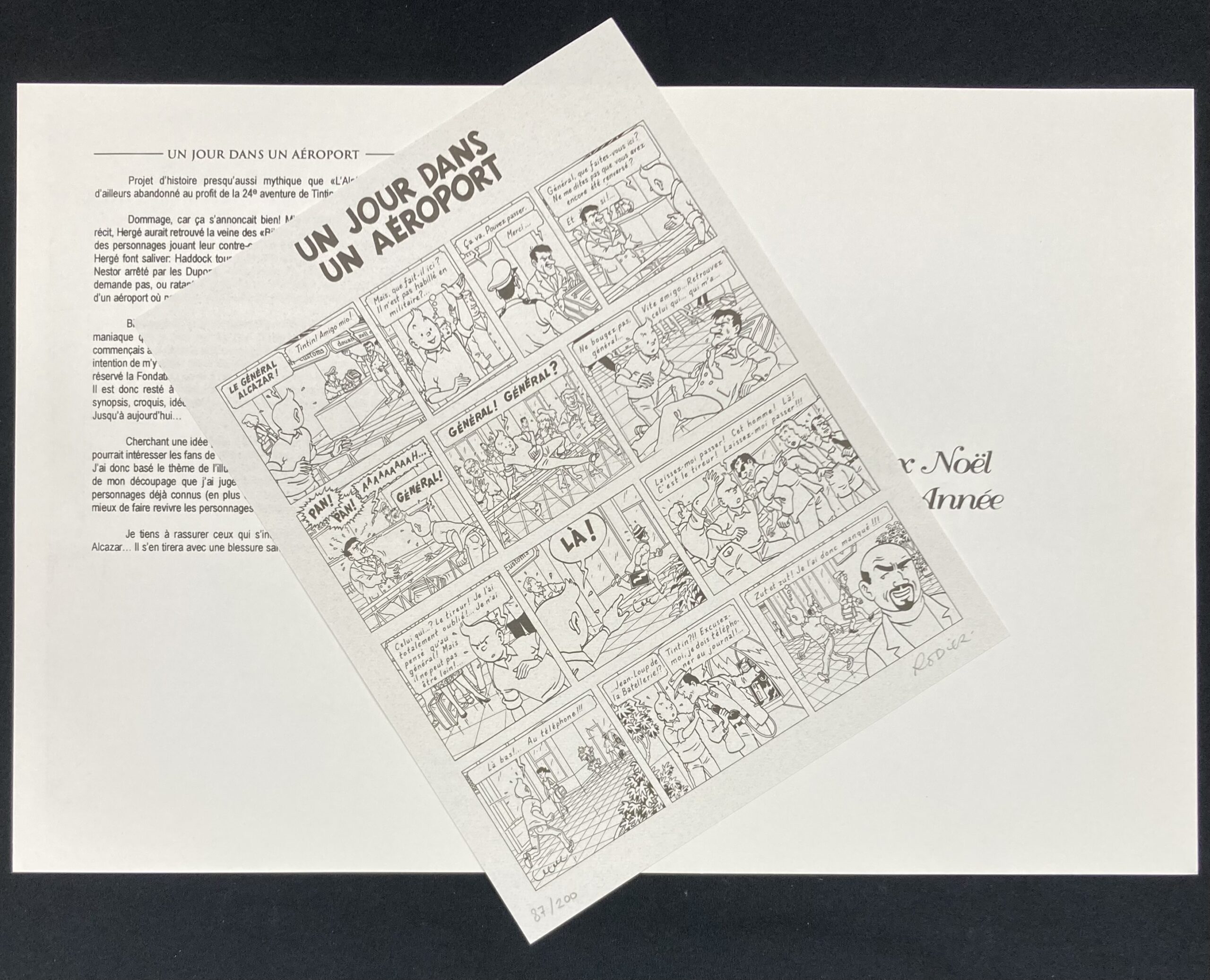 'aéroport - Amazonie BD