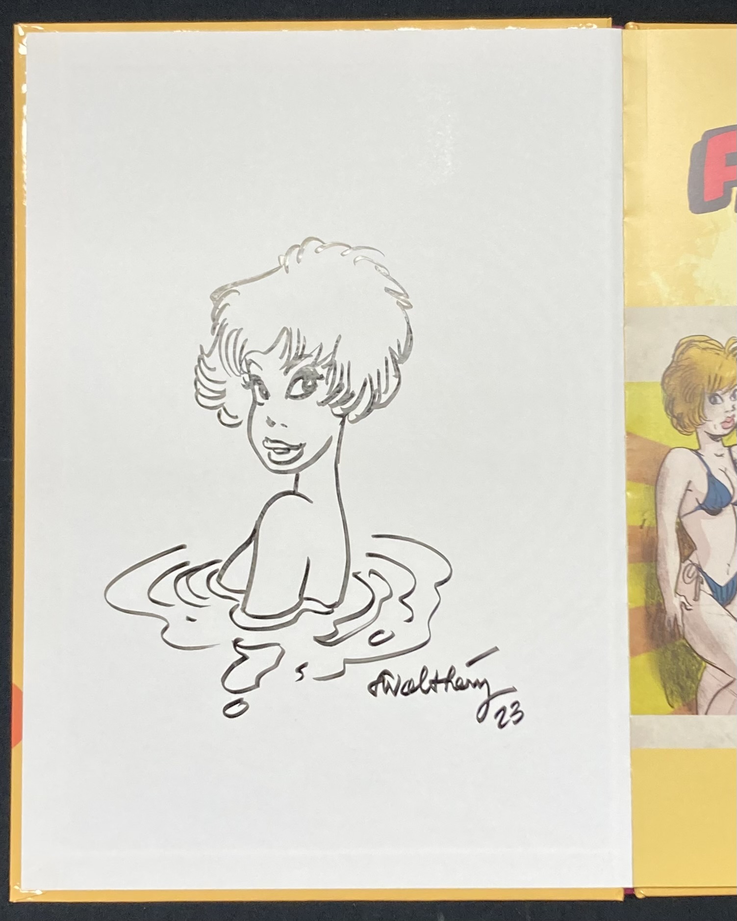 Walthéry & Co – Dédicace : Femmes de BD - Amazonie BD