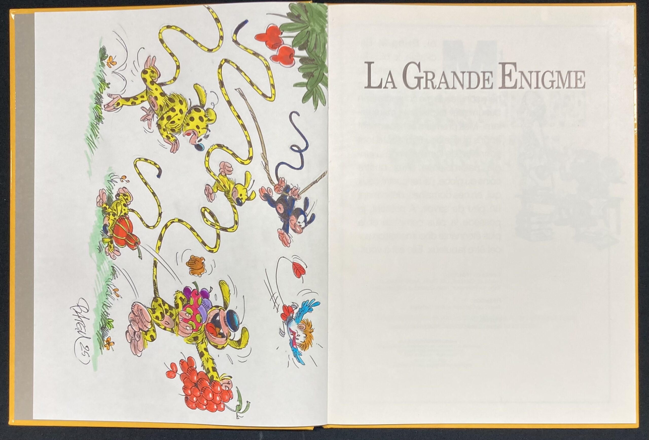Batem – Dédicace : L’encyclopédie du Marsupilami de Franquin La grande énigme - Amazonie BD