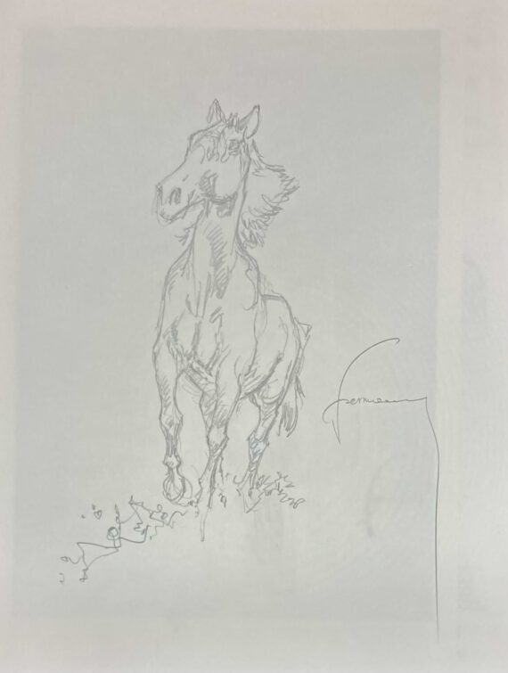 Hermann & Yves H. - Dédicace / Duke N° 5 "Un pistolero, tu seras" - Tirage de tête (2021)