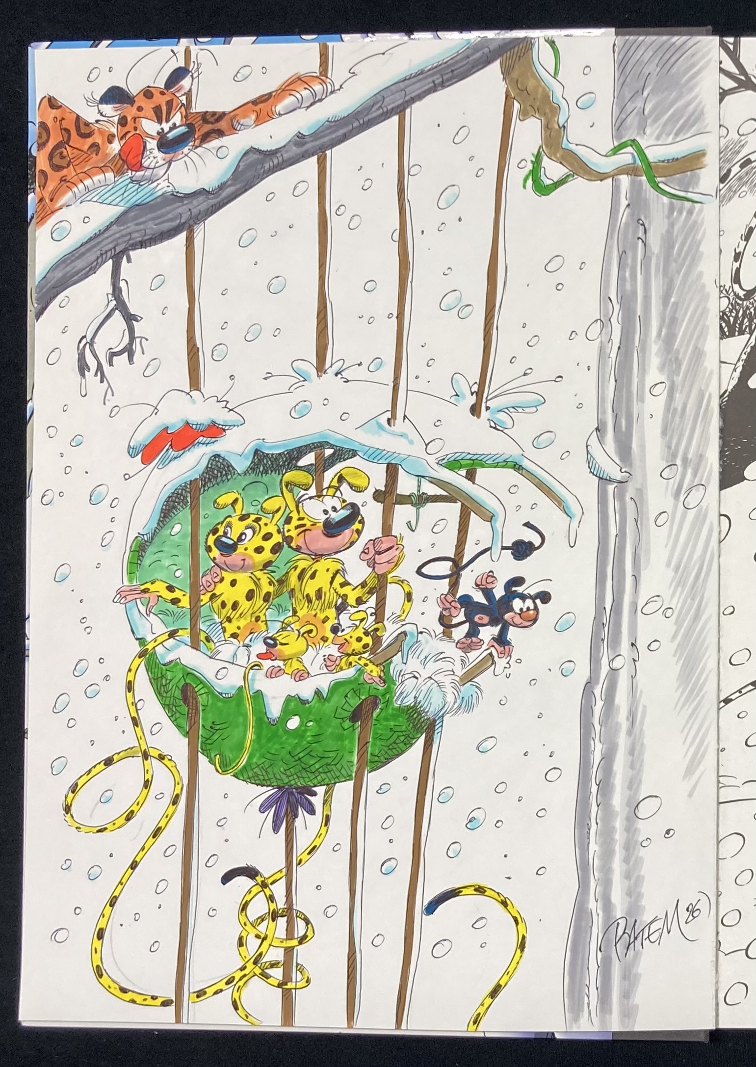 Batem & Colman – Dédicace : Le Marsupilami « Magie blanche » Tirage de tête - Amazone BD