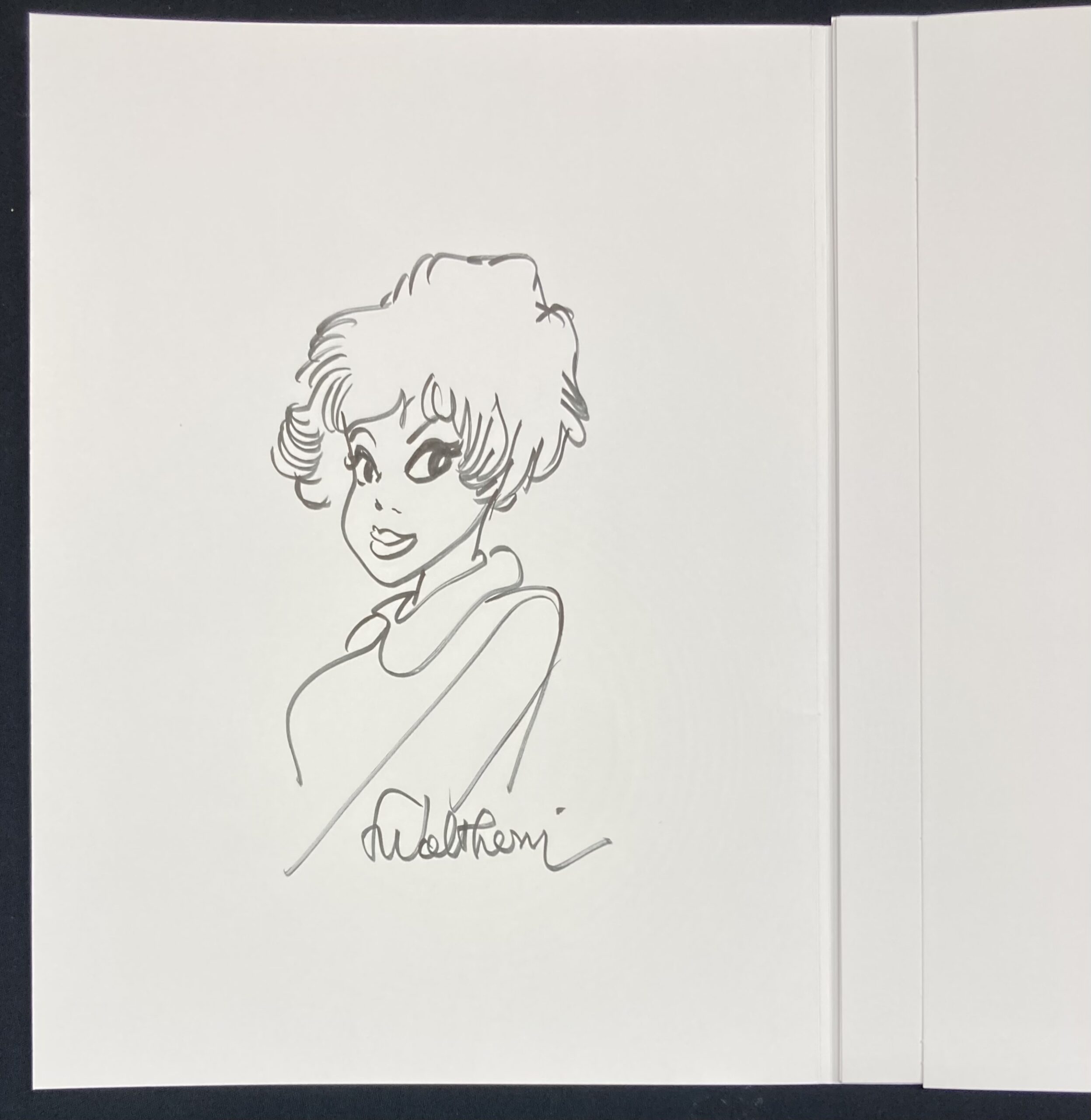 François Walthéry – Dédicace : Natacha – Portfolio Il était une fois N° 36 - Amazone BD