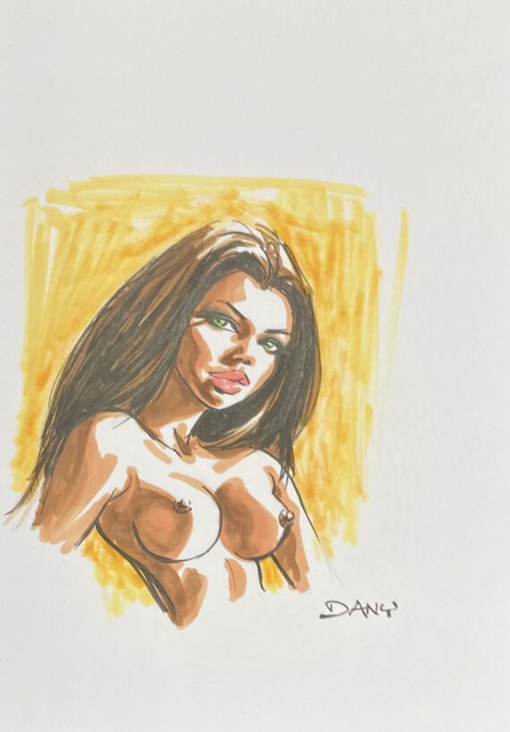 Dany - Dédicace / Artbook "69" N° 2 Version jaune (2026) A