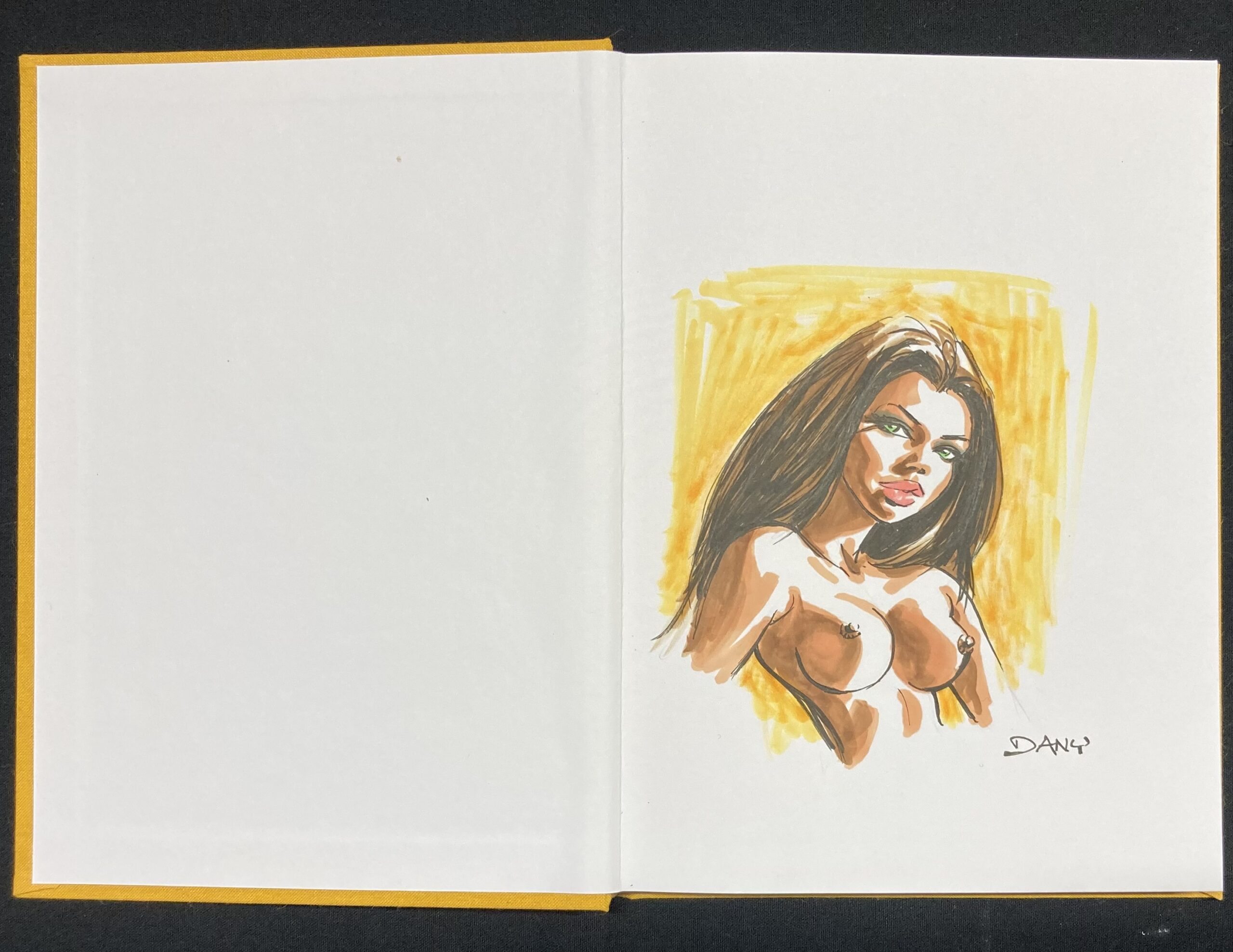 Dany -a Dédicace : Artbook 69 N° 2 Version jaune - Amazonie BD