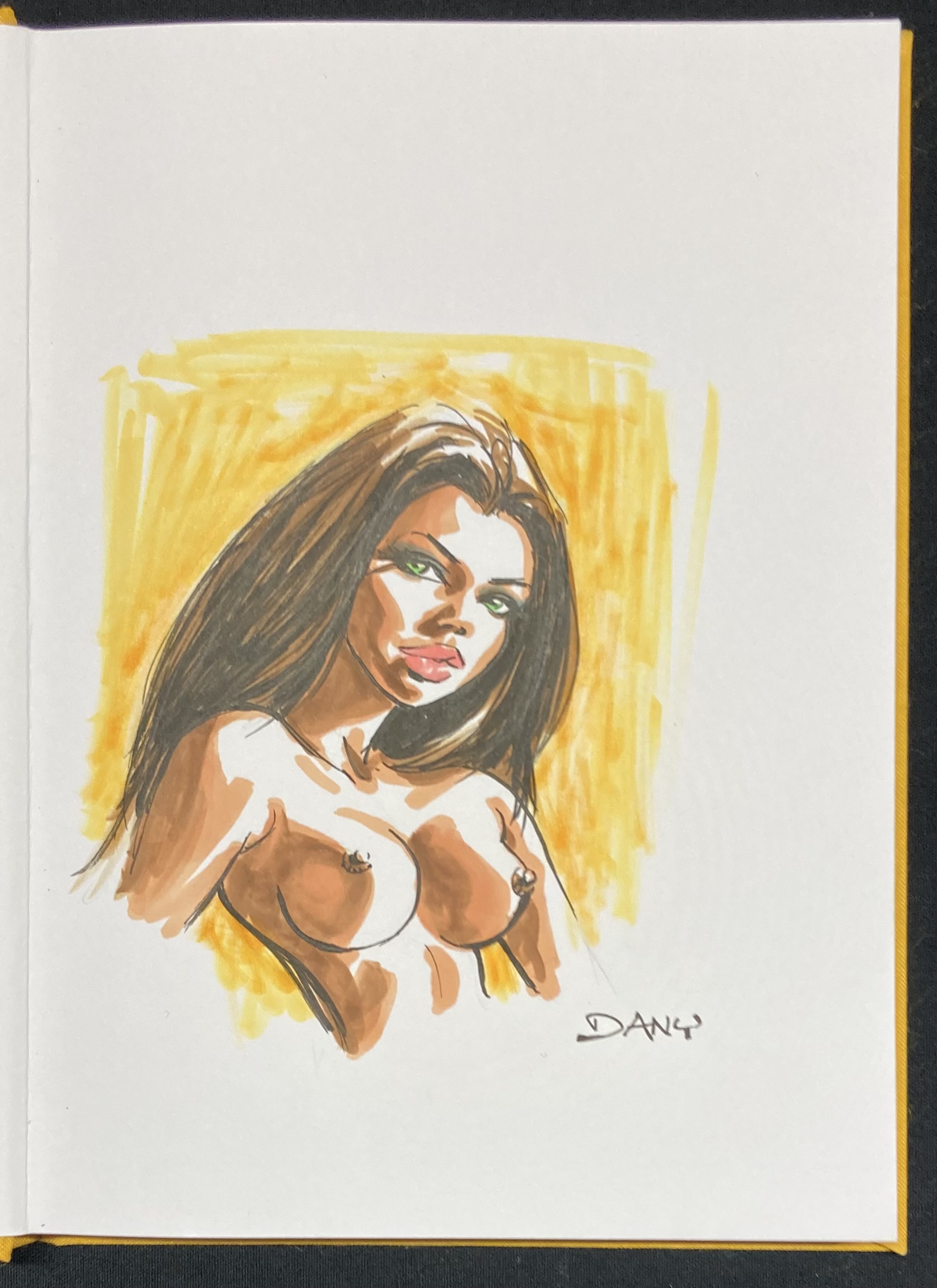 Dany -a Dédicace : Artbook 69 N° 2 Version jaune - Amazonie BD