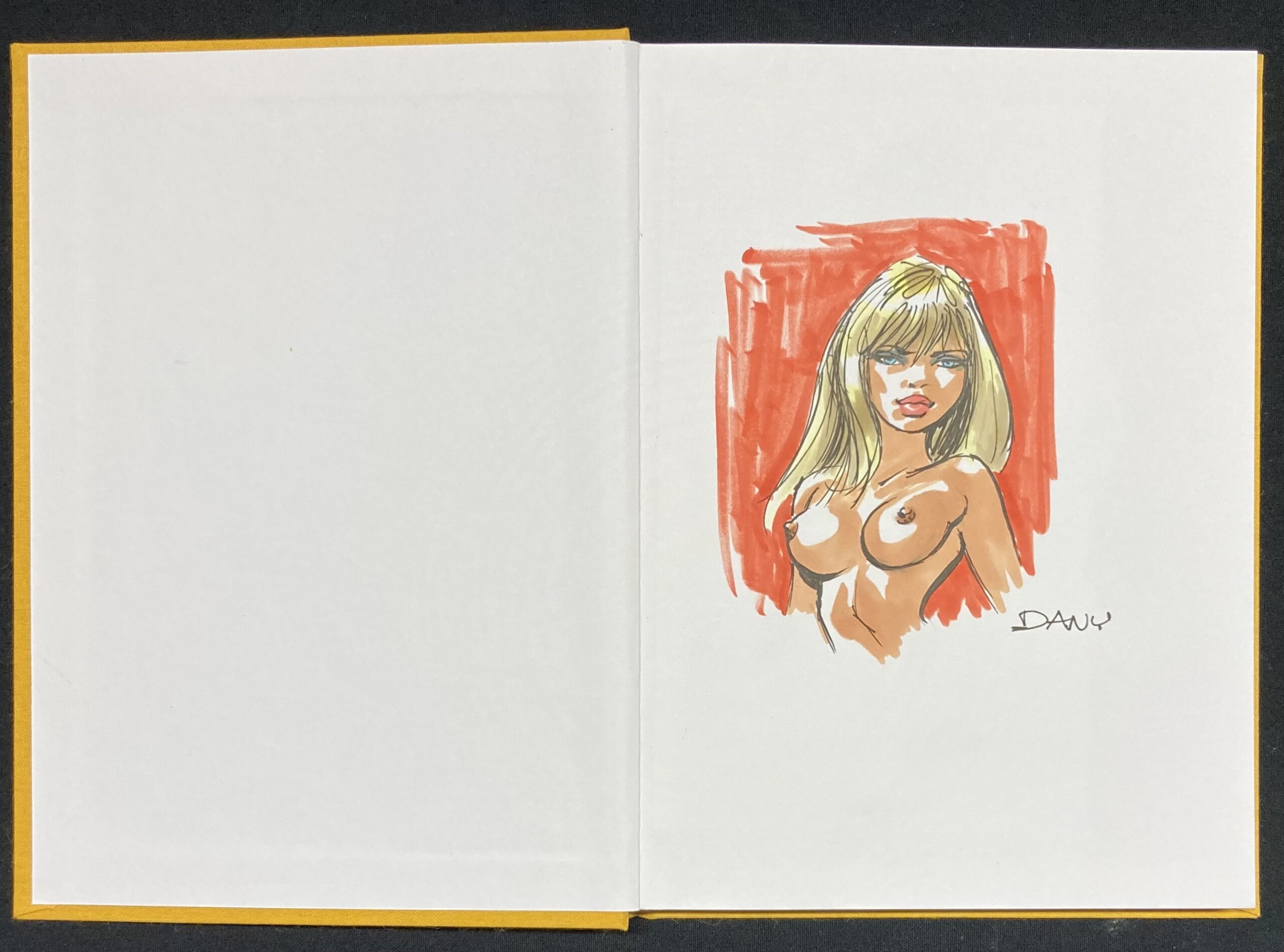 Dany -b Dédicace : Artbook 69 N° 2 Version jaune - Amazonie BD