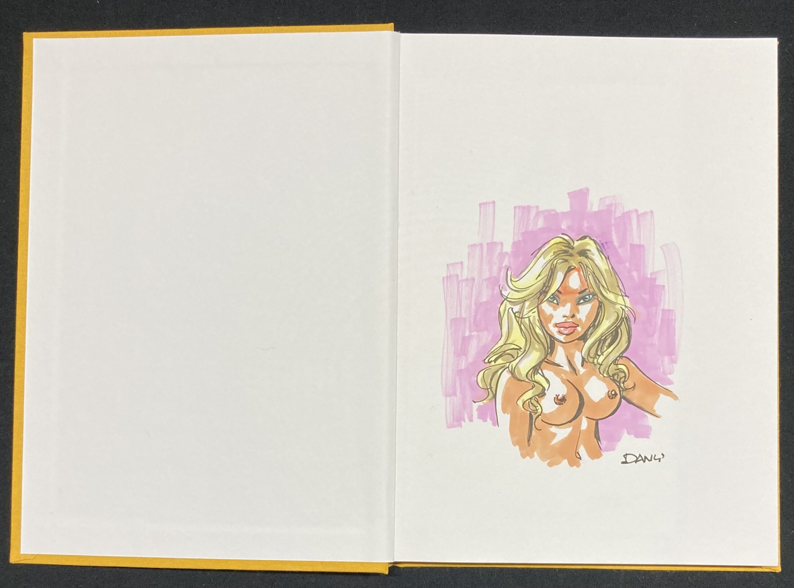 Dany - Dédicace : Artbook 69 N° 2 Version jaune - Amazonie BD